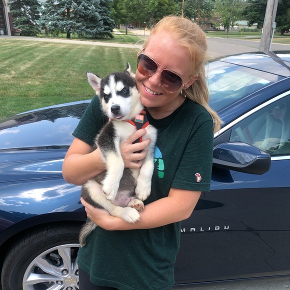 Meet your Posher, Alley - Picture 2 of 4